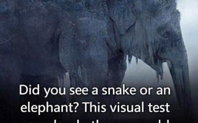 What did you see at first sight? 97% of people saw a snake! Find out if your old age will be bitter or sweet!