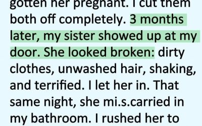 I Hated My Sister for Destroying My Marriage… Until the Night She Lost the Baby1